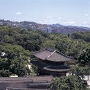 돈화문 이미지