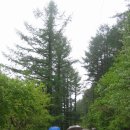 갈산천 구곡길 이미지