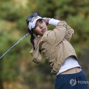 앨리슨 이미지