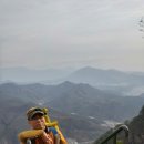 예스 공인중개사 사무소 이미지