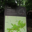 서울둘레길 걷기 (첫회, 수서역-양재 염곡사거리), 6월 1일, 토요일 이미지