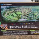 목계솔밭캠핑장