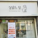 살롱드, 왈 이미지