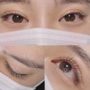 노브살롱