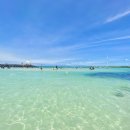 타오하우스 민박 | 제주 김녕해수욕장 근처 숙소 세기알 해변 물때