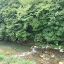 대바우가든 | 울산 근교 계곡 추천:::평상 대여 가능한 '대바우가든' 물놀이 후기