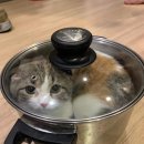 베스트출장스팀세차 네이버블로그