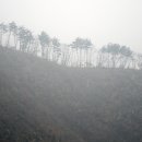 세봉주유소 이미지