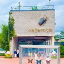 반디랜드 곤충박물관 전시실 이미지