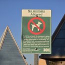 법환야외공연장 공용화장실 | 달라스 근교 가족공원 추천｜프리스코 커먼스 공원 산책 &amp; 피크닉 후기