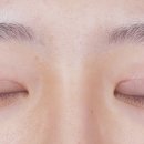 양진일원장