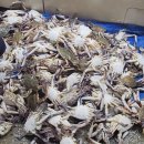 흥진수산 이미지