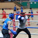 메카스포츠 이미지