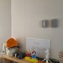 광령소낭 이미지