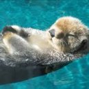 은석참치 이미지