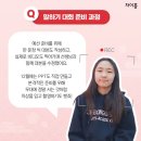 차이홍 이미지