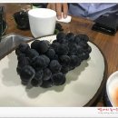 마더석쇠스 이미지