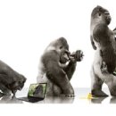 아이글라스 이미지