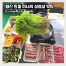 원동2 | 양산 원동 미나리 삼겹살 맛집 5번집 하우스 자리대여 가격 고기 사서 다녀온 후기