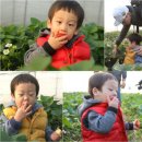 간양농장 이미지