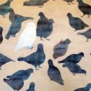 (주)연림 이미지