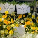 진도꽃집 이미지