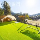 바비애견풀빌라 이미지