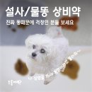 꿀강아지 테리하우스 | 강아지 설사할때 대처법, 다견가정 상비약 내돈내산
