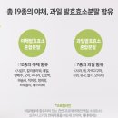 왕대박과일야채