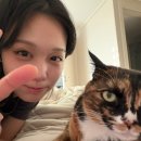 지존마라탕 이미지