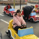 청구랜드 | 춘천 레고랜드 주말 후기 및 예약 방법