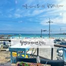 월정리 티스토리