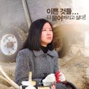 영화 '미쓰 홍당무(2008년작)'에서 원불교 정녀교무님으로 나온 배우 라미란 이미지