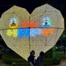 꽃 노래연습장 | 2026 유성온천 문화축제 일정과 직접다녀와서 느낀 즐기는 꿀팁