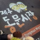 제주로베로 이미지