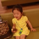 다희농원 이미지