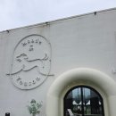 몽드드뚜뚜 | [내돈내산 리뷰/ 경기북부/ 포천시/ 소형견전용 애견카페 몽드드뚜뚜]