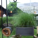 온더락캠핑장 이미지