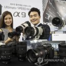 알파 - 김포시 김포한강4로 513 | 알파