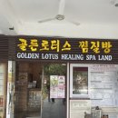 <로터스 랜드(Lotus Land)> 이미지