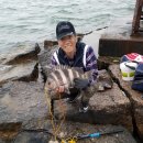 Sheepshead! 이게 꿈인가? 생시인가? 이미지