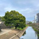 바바나무 | 음식, 문화 체험이 가능한 &#34;사쿠라노바바 조사이엔&#34;과 웅장하면서도 전통적인 &#34;구마모토성&#34;에 다녀온 후기