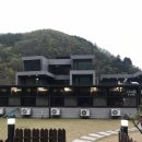 비다펠리스 이미지