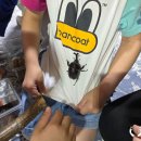 해빛유치원 네이버블로그