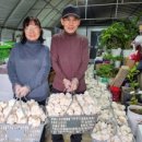 연합 농장 이미지