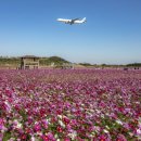 하늘정원 이미지