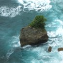 바다에 누워 이미지