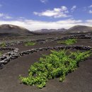 세계의 명소와 풍물 194 - 카나리아 군도, 란자로테섬의 포도밭과 풍경 이미지