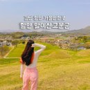 경남 함안군 조남산-말이산 고분군-검암산-입곡군립공원/2024.4.22.월(2/2) 이미지