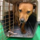 금정종합사회복지관 이미지